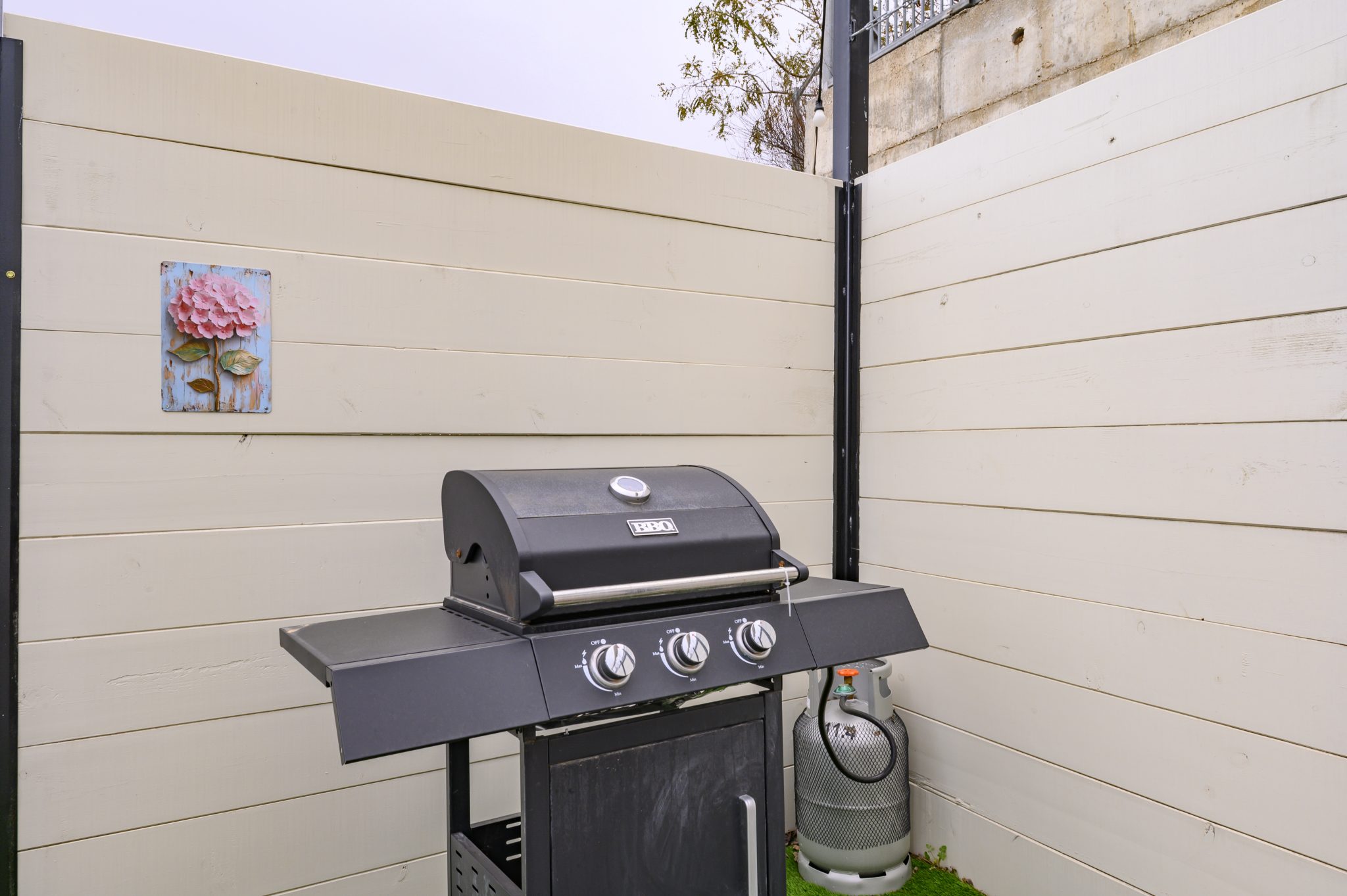 TMR_8559_תומר_שלנגר_צלם