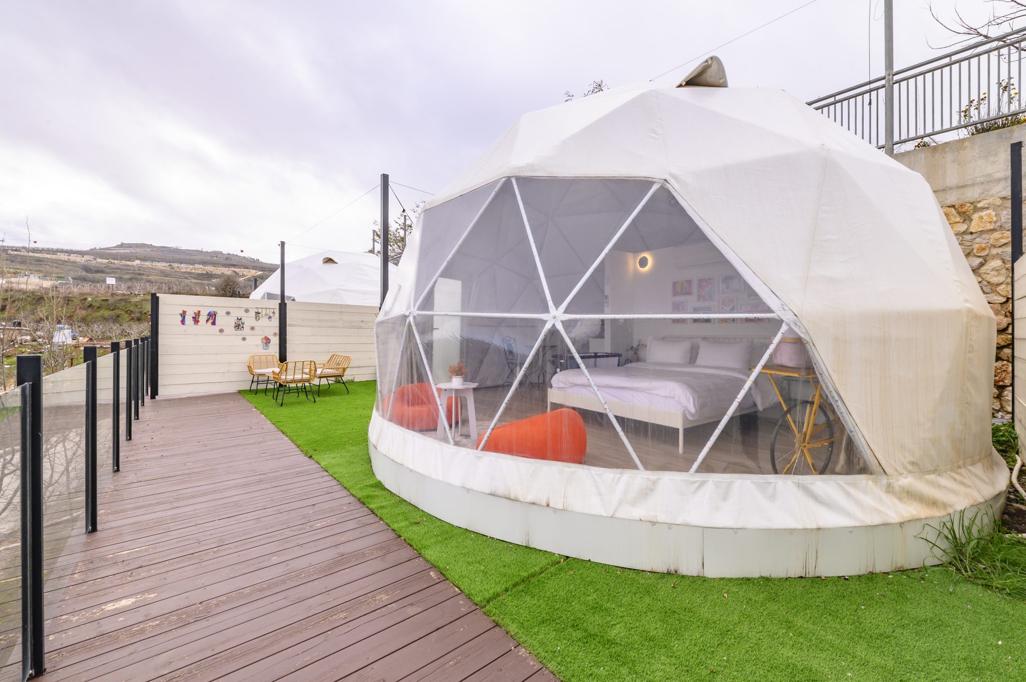 TMR_8581_תומר_שלנגר_צלם