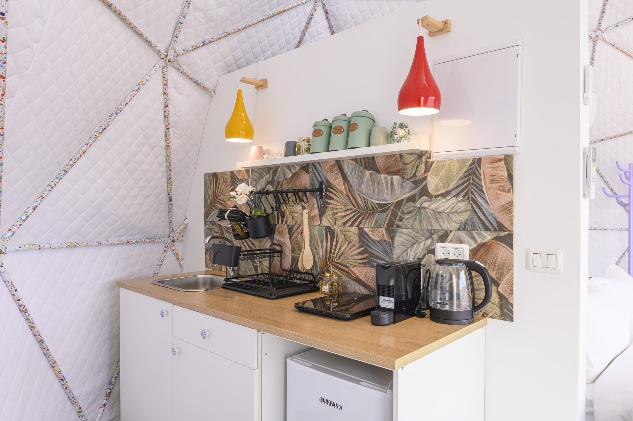 TMR_8583_תומר_שלנגר_צלם