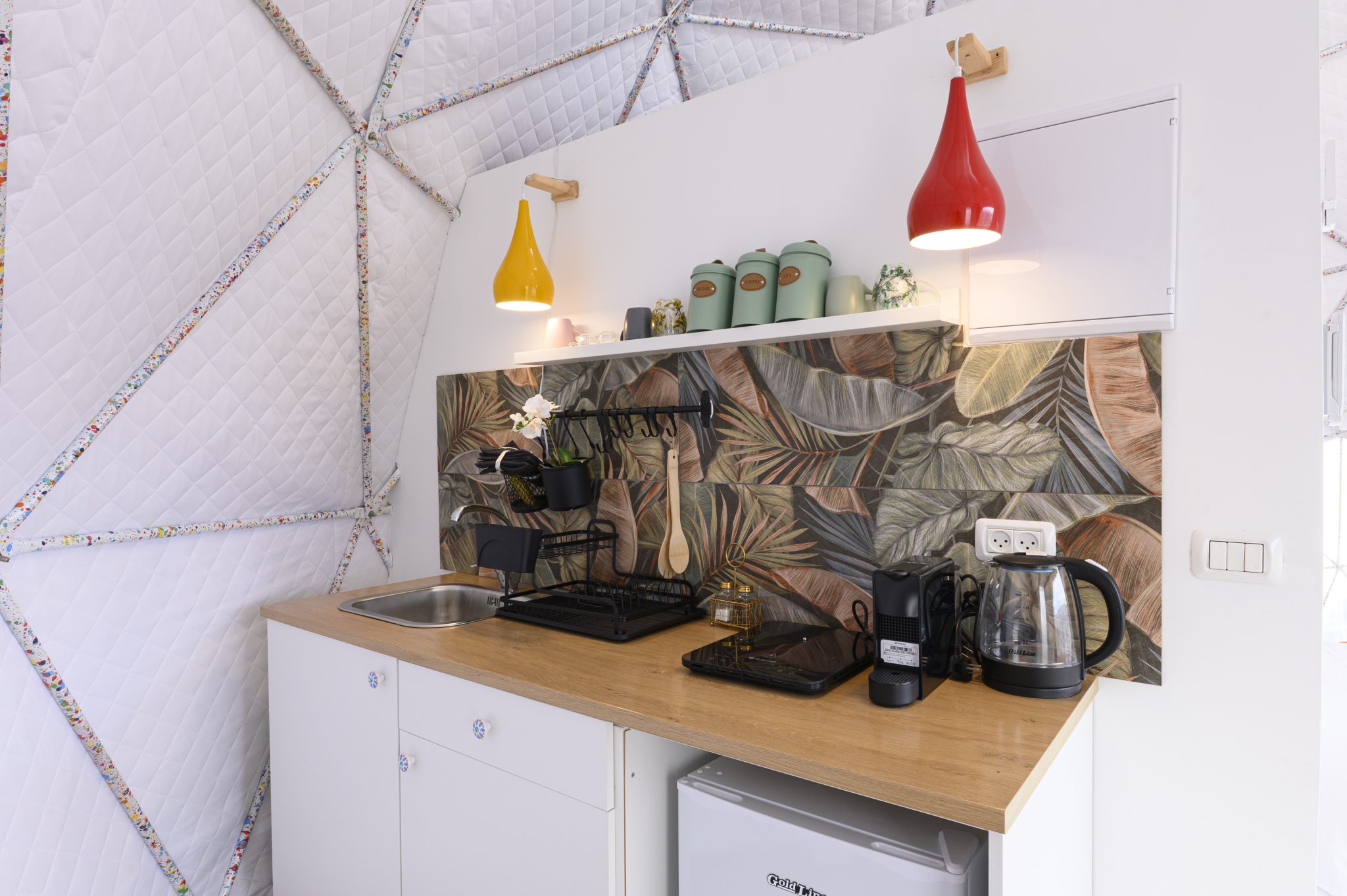 TMR_8600_תומר_שלנגר_צלם