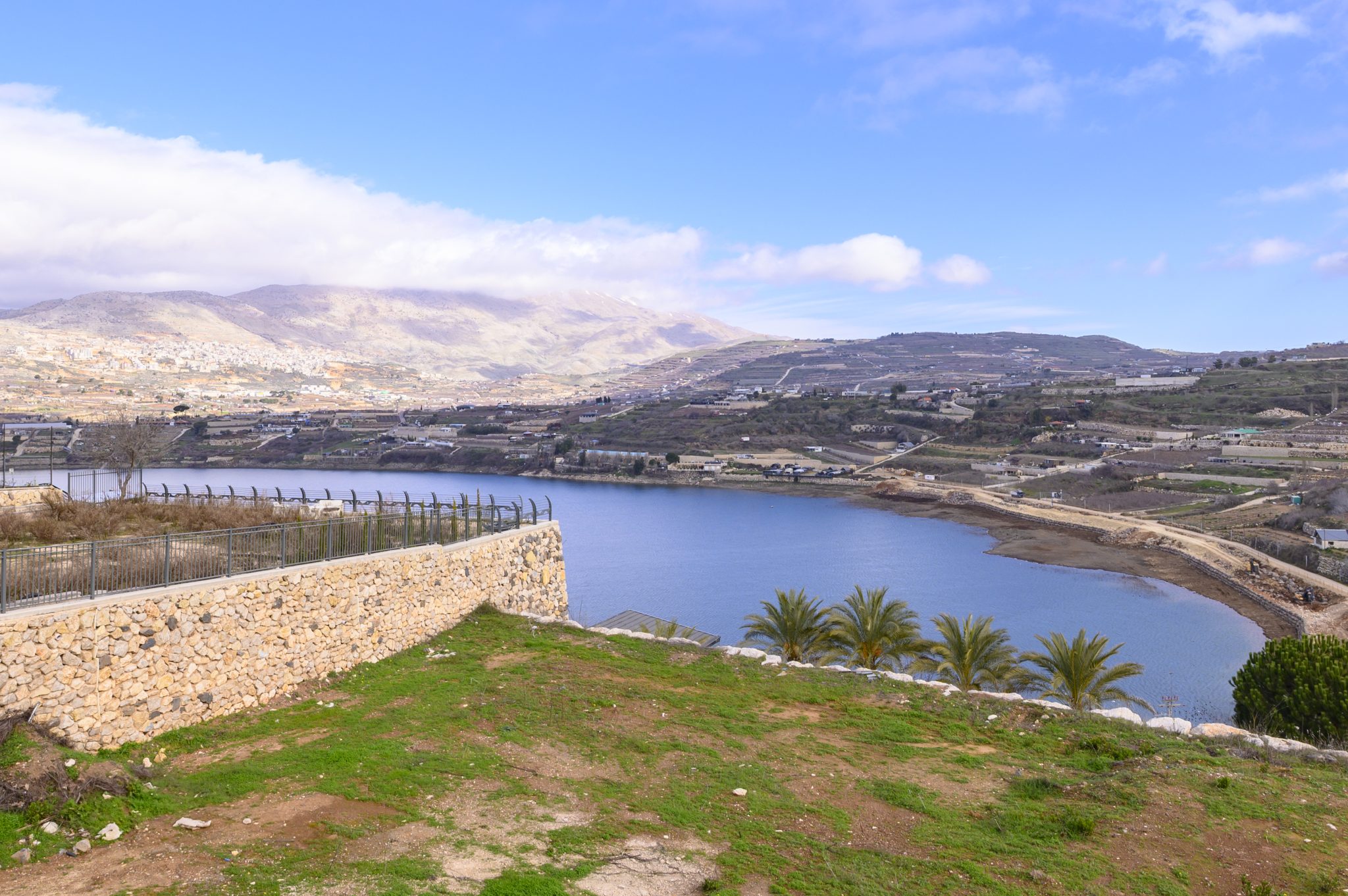 TMR_8637_תומר_שלנגר_צלם