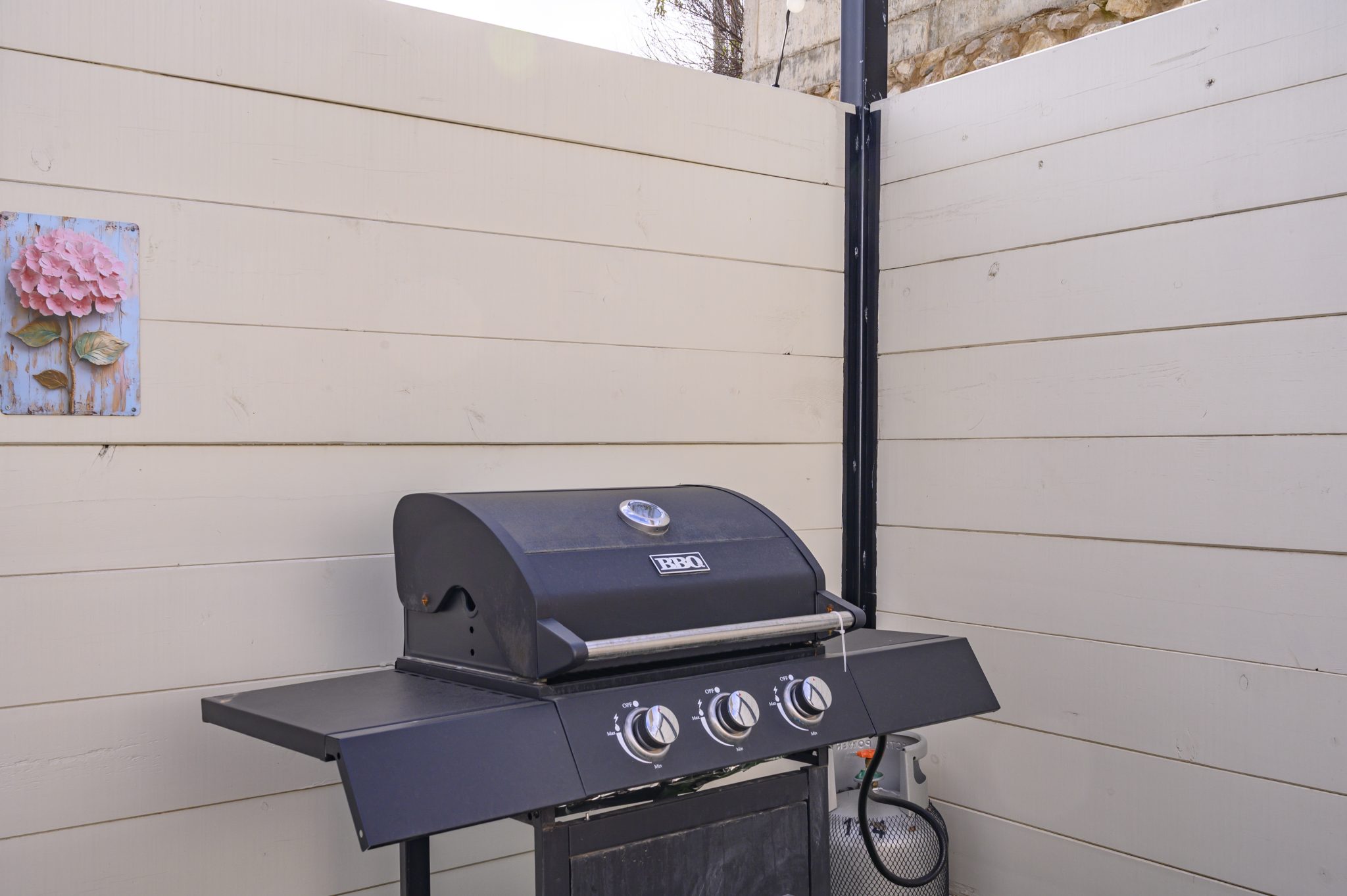 TMR_8670_תומר_שלנגר_צלם