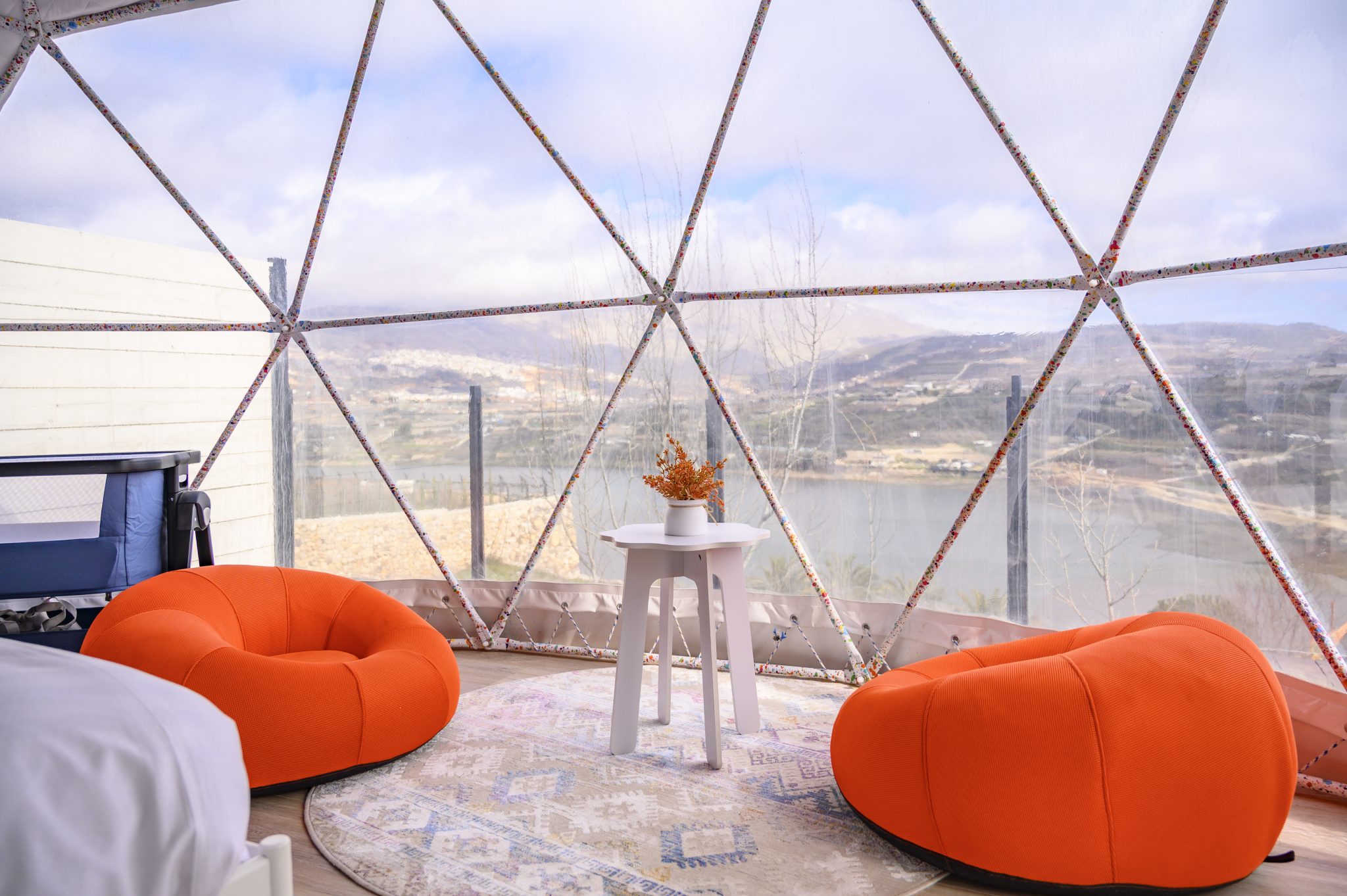 TMR_8695_תומר_שלנגר_צלם