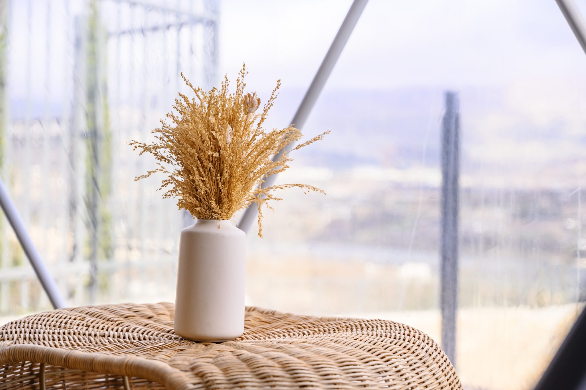 TMR_8713_תומר_שלנגר_צלם